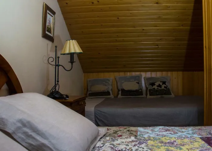 Marin Lantställe Echo